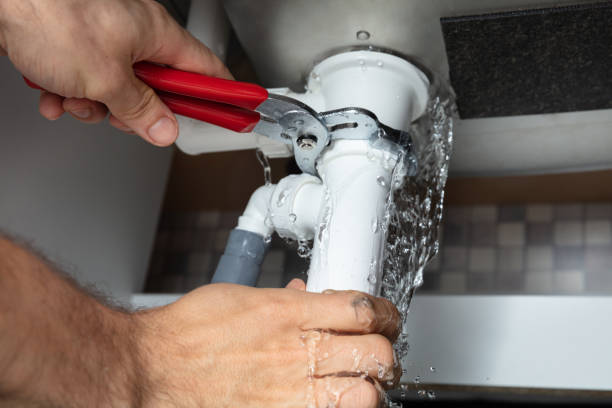 Best Professional water damage repair  in Wendell, NC