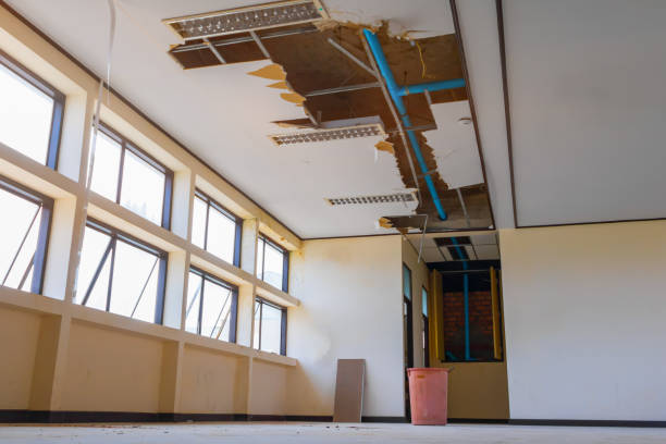 Best Sewage cleanup and water damage restoration  in Wendell, NC