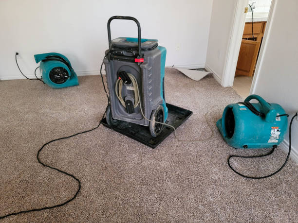 Best Water damage restoration services  in Wendell, NC