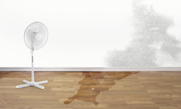 Best Flood damage cleanup  in Wendell, NC