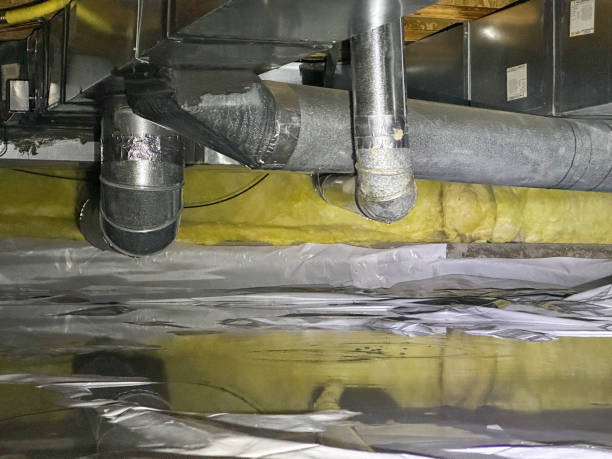 Best Water damage restoration cost  in Wendell, NC