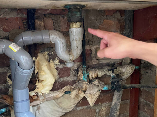 Best Water damage restoration near me  in Wendell, NC