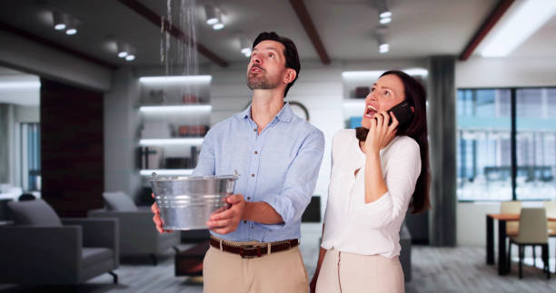 Best Fire Damage Restoration  in Wendell, NC