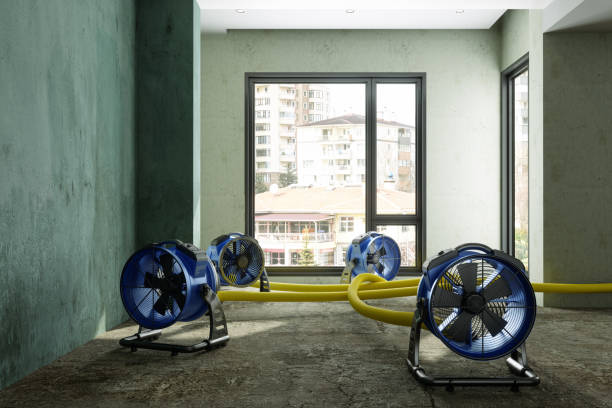 Best Residential water damage restoration  in Wendell, NC